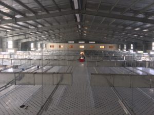 Nhà xưởng công ty Hiếu Tiến 13