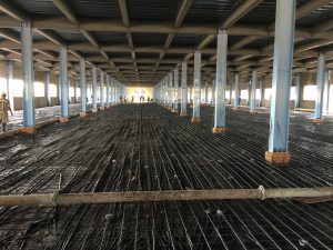 Nhà xưởng sản xuất công ty Cibao 7