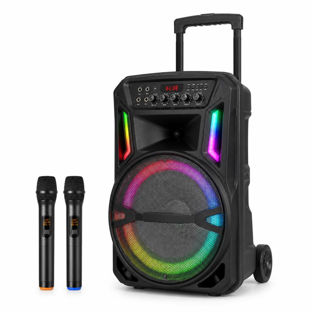 Loa kéo Karaoke 10 inch đèn LED RGB kèm 2 micro