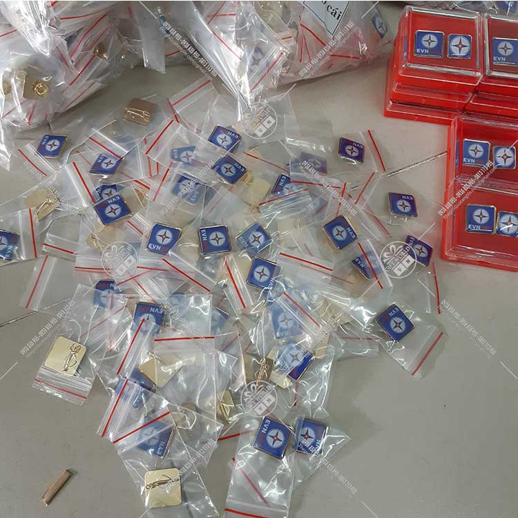Huy hiệu đeo áo Ngành Điện lực EVN SPC - ảnh 4